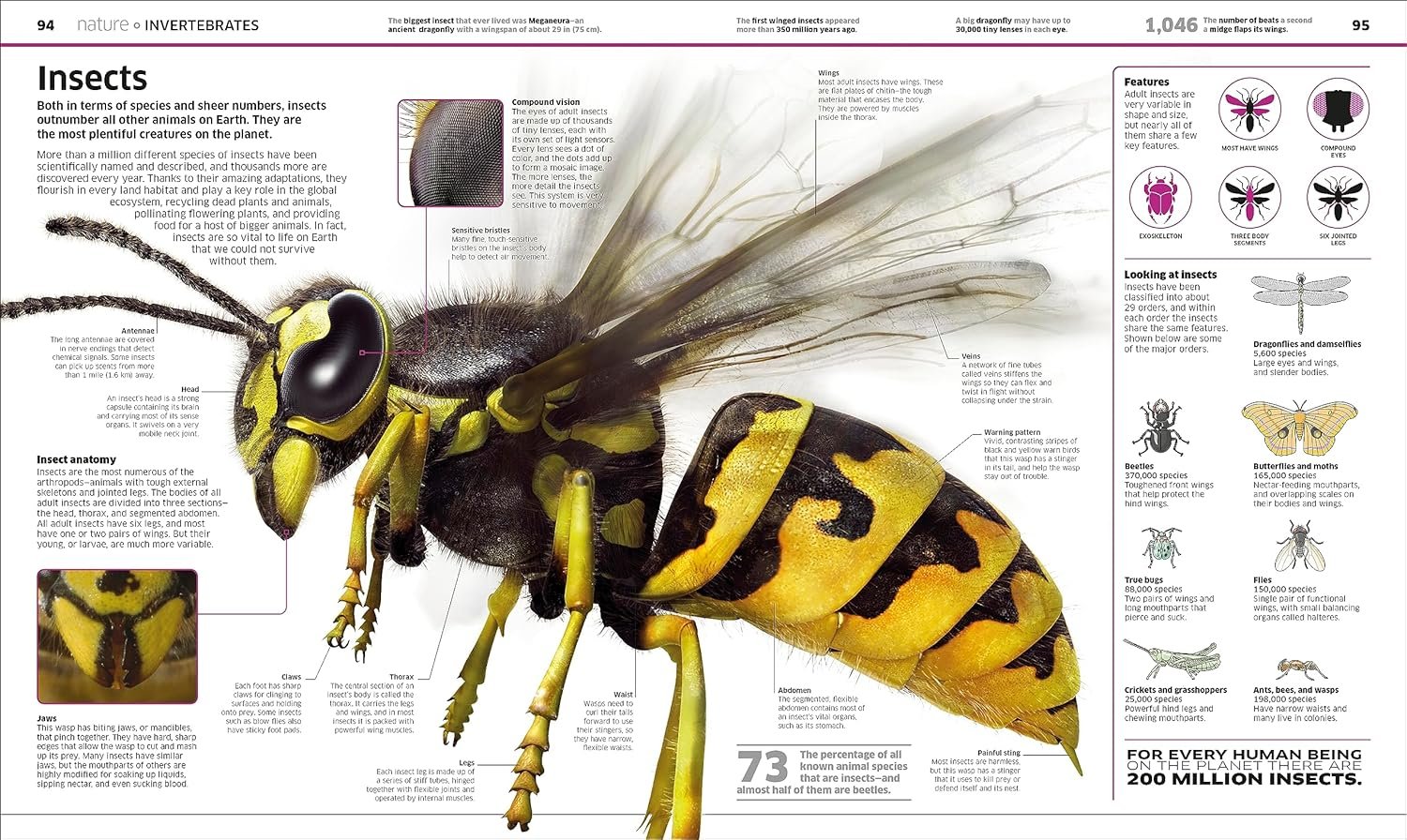 Knowledge Encyclopedia: The World as You've Never Seen it Before (DK Knowledge Encyclopedias) - Image 2