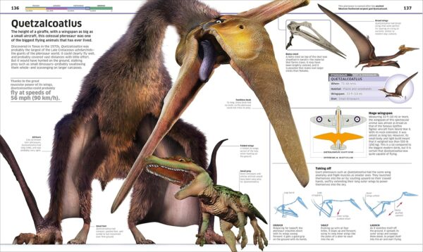 Knowledge Encyclopedia Dinosaur!: Over 60 Prehistoric Creatures as You've Never Seen Them Before (DK Knowledge Encyclopedias) - Image 6
