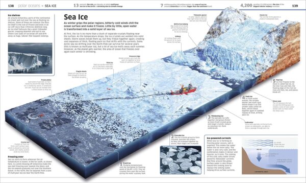 Knowledge Encyclopedia Ocean! (DK Knowledge Encyclopedias) - Image 3