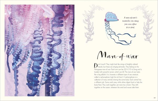 The Wonders of Nature (DK Children's Anthologies) - Image 2