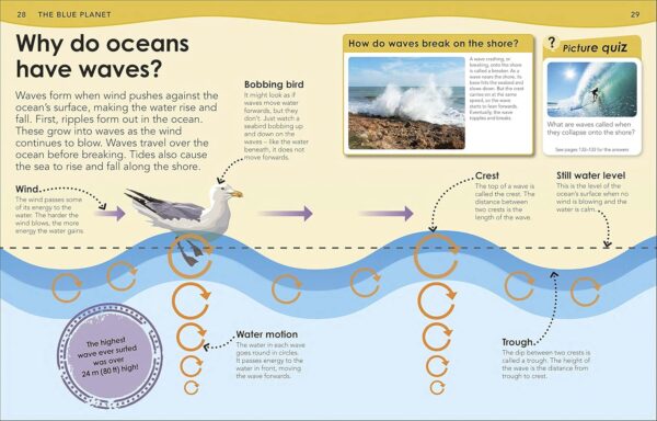 How Deep is the Ocean?: With 200 Amazing Questions About The Ocean Softcover - Image 4