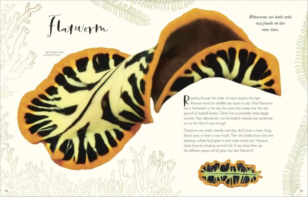 The Wonders of Nature (DK Children's Anthologies) - Image 3
