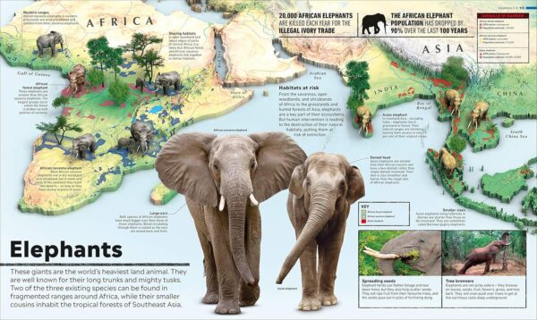 What's Where on Earth? Animal Atlas: The World's Wildlife as You've Never Seen it Before - Image 8