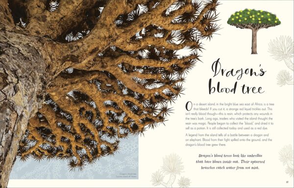 The Wonders of Nature (DK Children's Anthologies) - Image 6