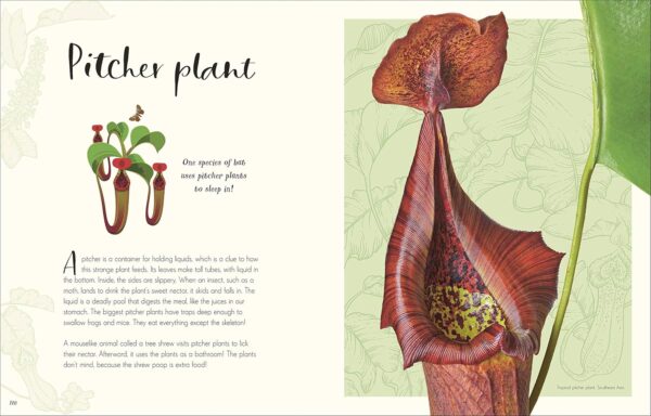The Wonders of Nature (DK Children's Anthologies) - Image 7