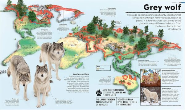 What's Where on Earth? Animal Atlas: The World's Wildlife as You've Never Seen it Before - Image 3