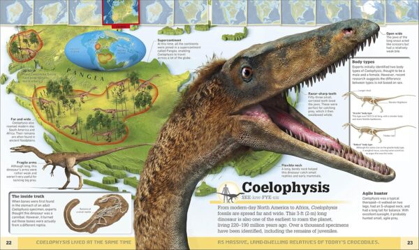 Dinosaur and Other Prehistoric Creatures Atlas: The Prehistoric World as You've Never Seen It Before (DK Where on Earth? Atlases) Soft cover - Image 6