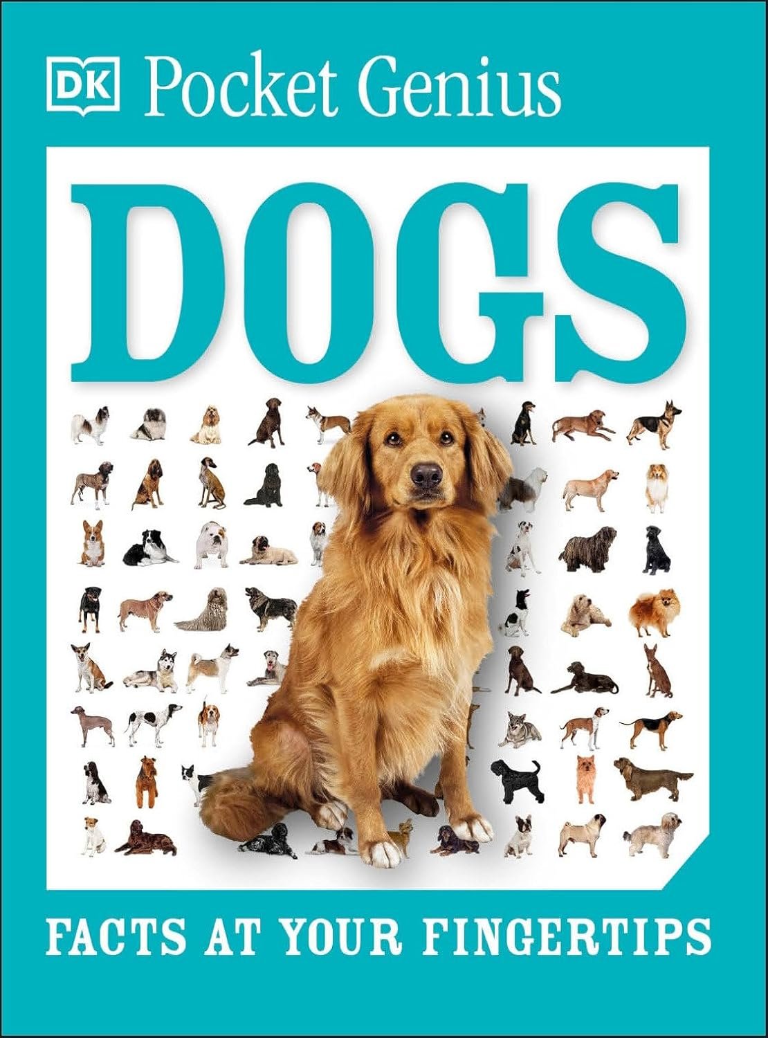Pocket Genius Dogs Facts at Your Fingertips by DK (Author) Reading age 8 - 12 years