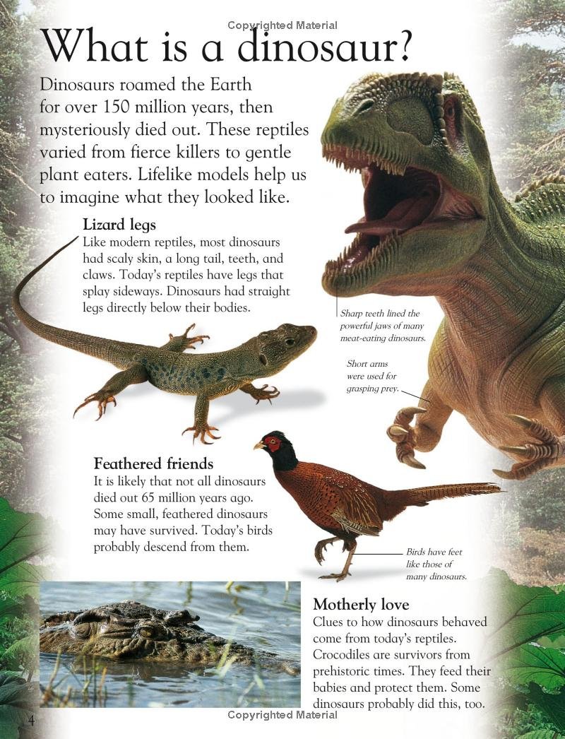 Dinosaur (Eye Wonder) - Image 4