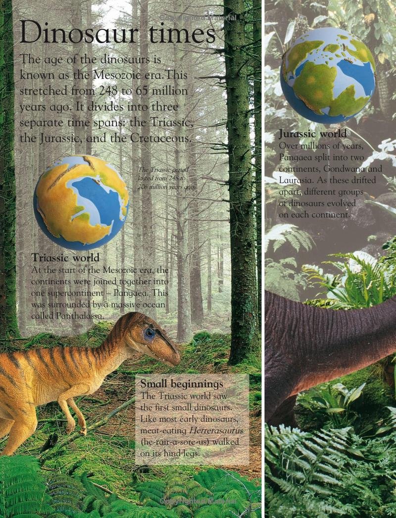 Dinosaur (Eye Wonder) - Image 3