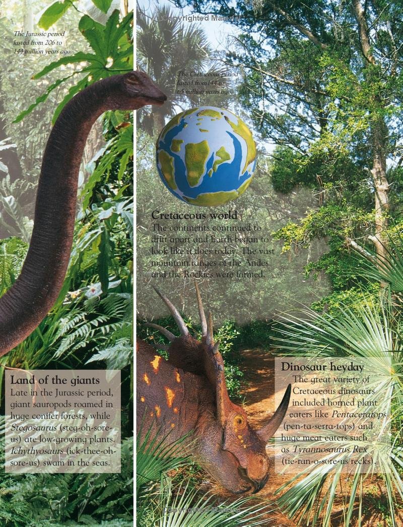 Dinosaur (Eye Wonder) - Image 2
