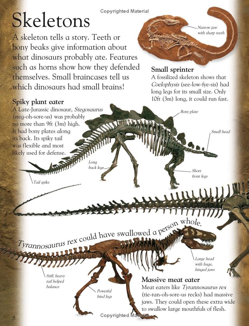 Dinosaur (Eye Wonder) - Image 5