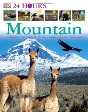 Mountain (Dk 24 Hours) 4 books