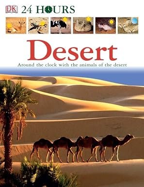 24 Hours Desert by unknown (Author)
