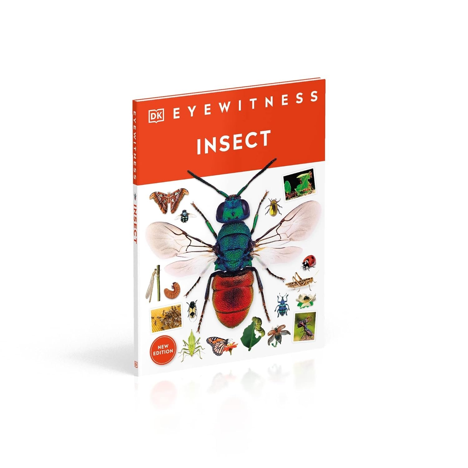 Eyewitness Insect - Image 2
