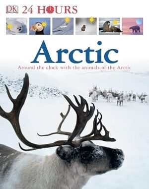 Arctic (24 Hours) by Lorrie Mack (Author)