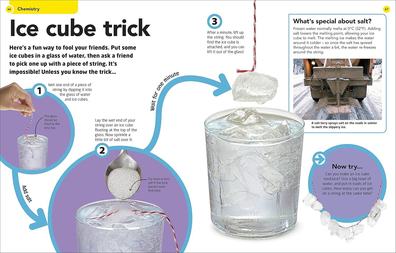 How To Be A Scientist - Image 5
