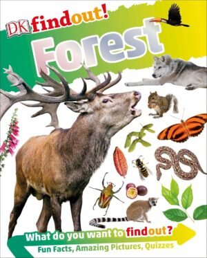 DKfindout! Forest