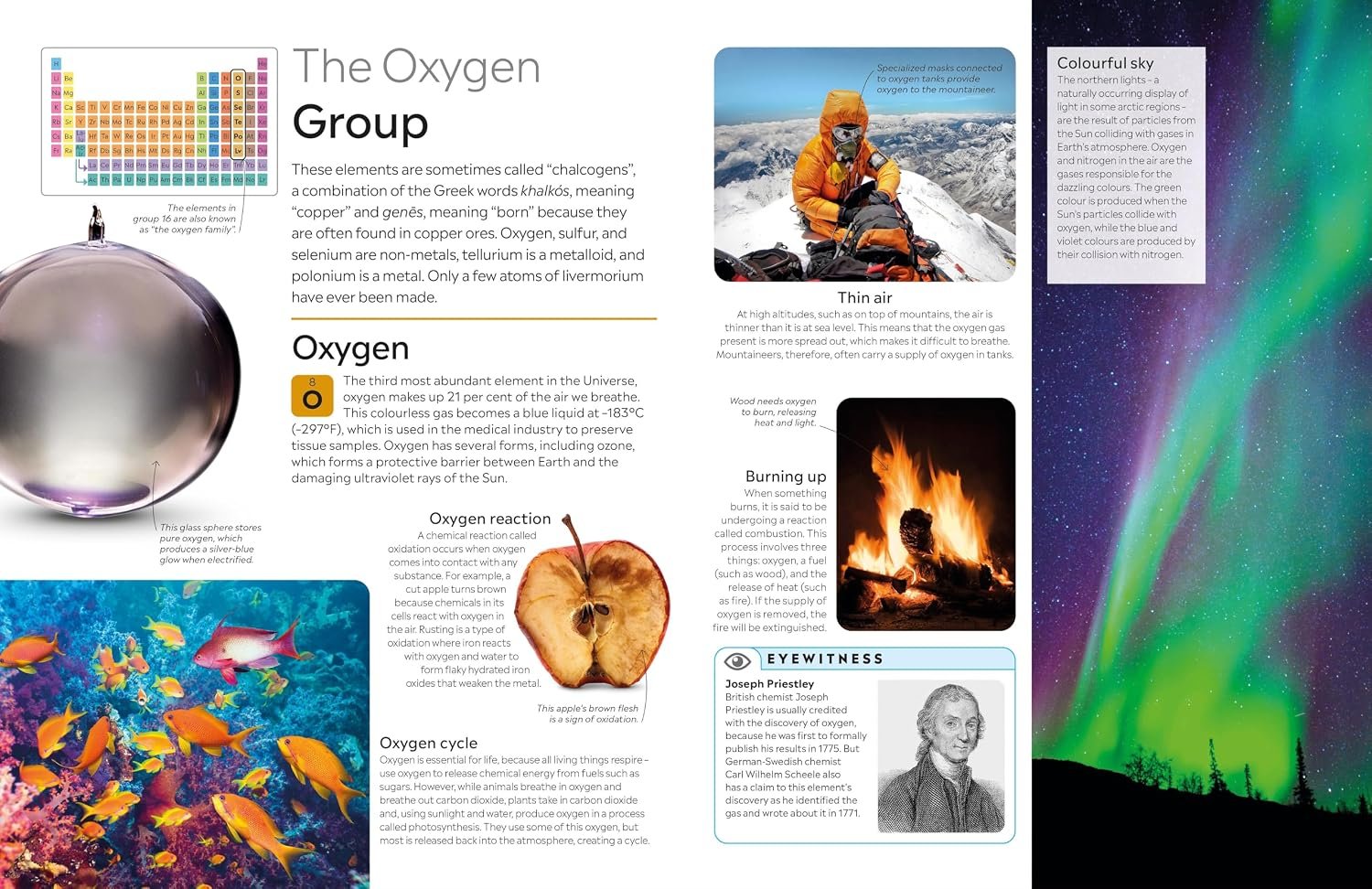Eyewitness Periodic Table - Image 4
