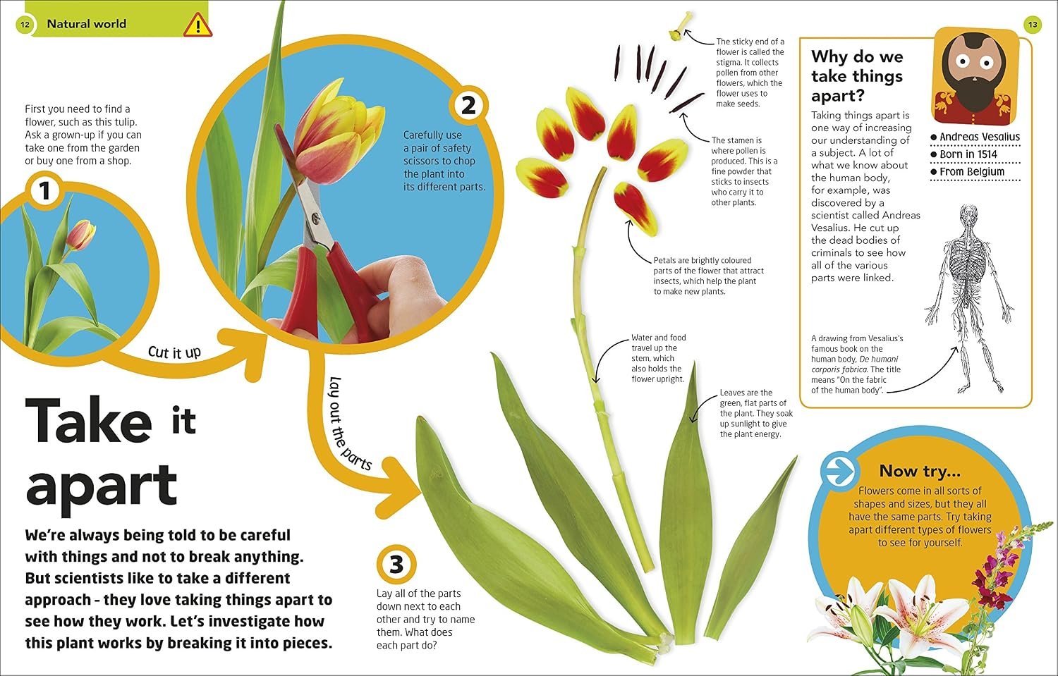 How To Be A Scientist - Image 6