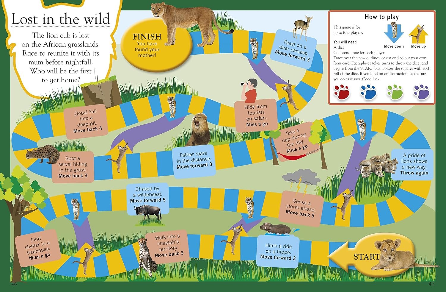 Big Cats (Eye Wonder) - Image 4